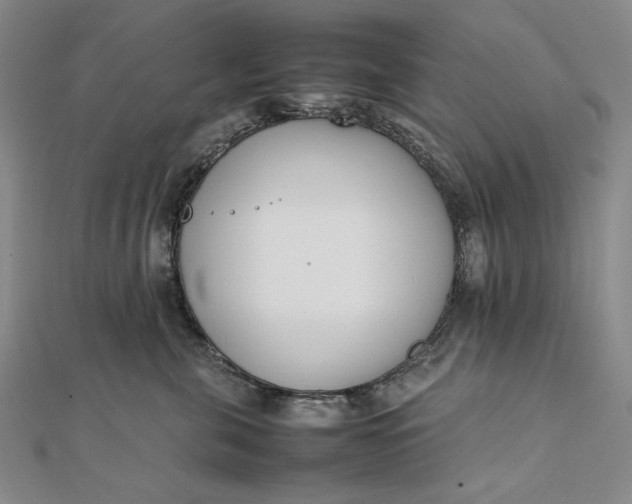 X0000111780571200908061117