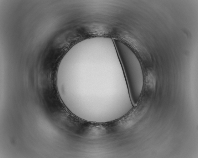 X0000111780572200908061117