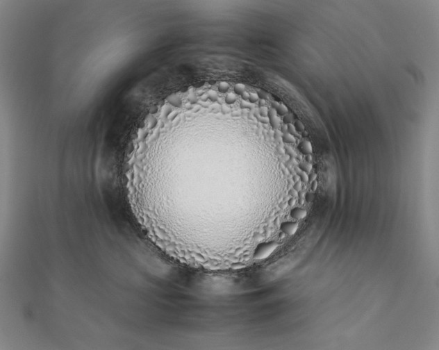 X0000111780573200908061117