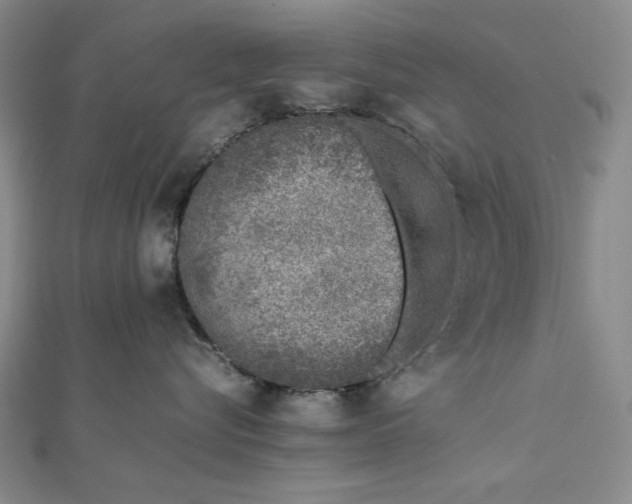 X0000111780576200908061117