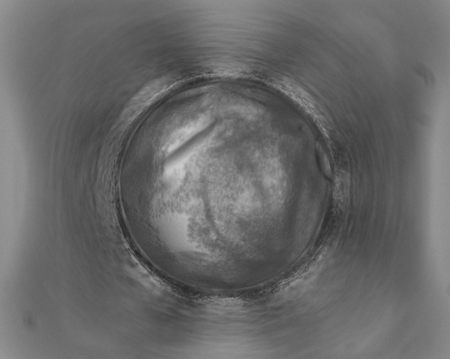 X0000111780577200908061117