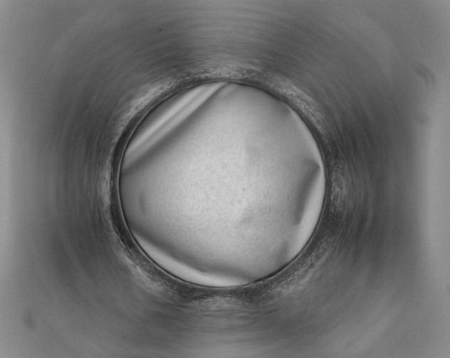 X0000111780578200908061117