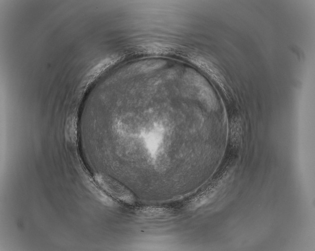 X0000111780581200908061116