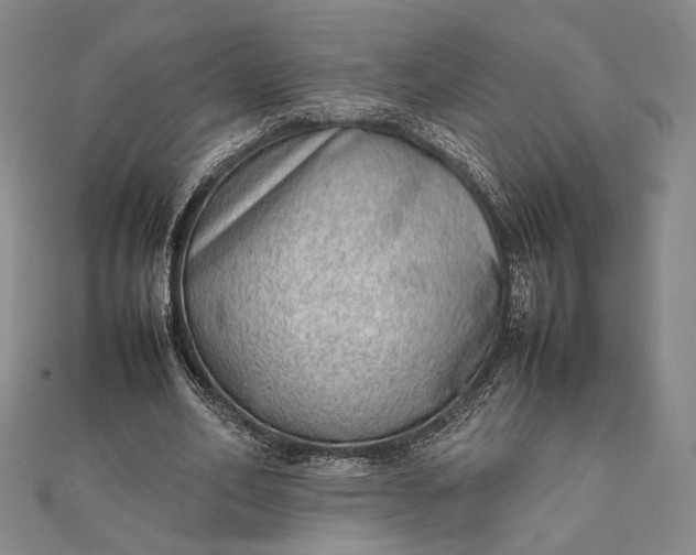 X0000111780582200908061116