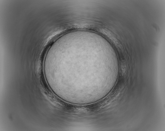 X0000111780583200908061116