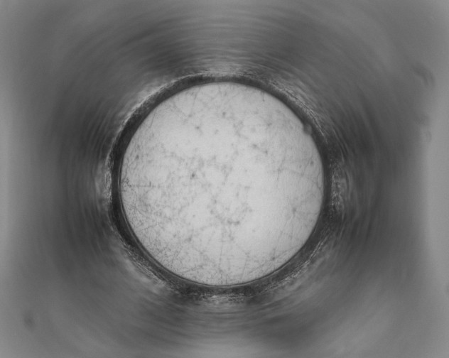 X0000111780584200908061116