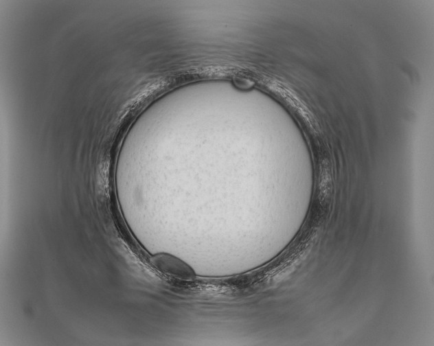 X0000111780585200908061116