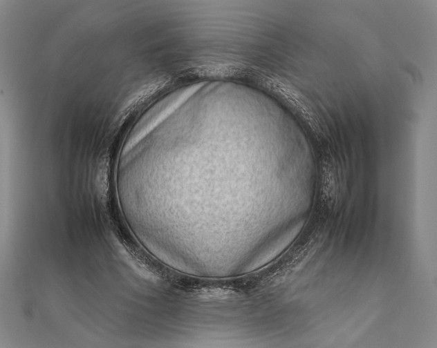 X0000111780586200908061116