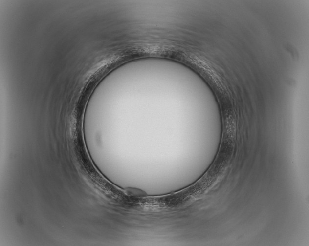 X0000111780587200908061116