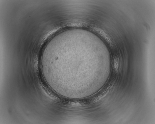 X0000111780588200908061116