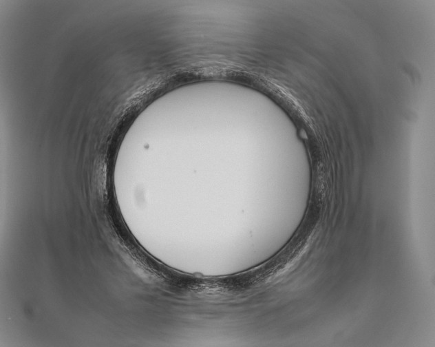 X0000111780589200908061116