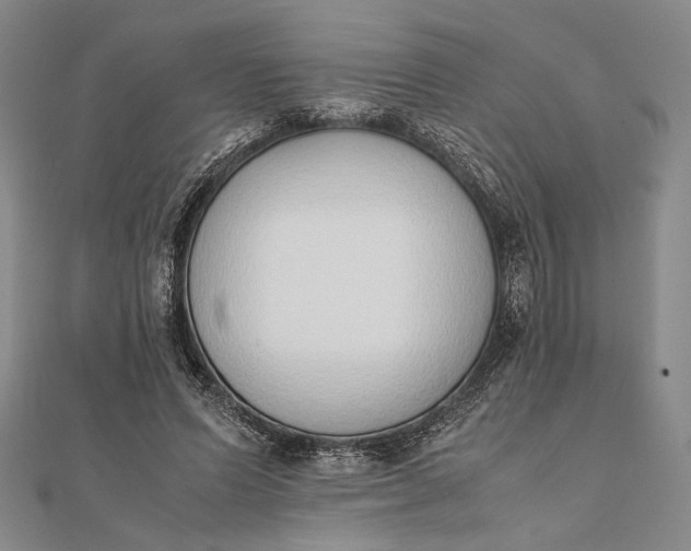 X0000111780591200908061116
