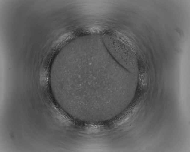 X0000111780593200908061116