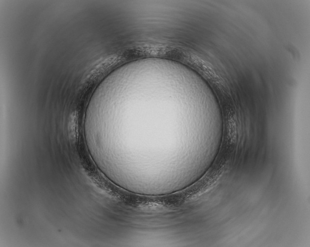 X0000111780594200908061116