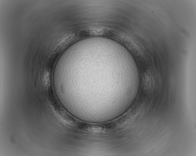 X0000111780598200908061116