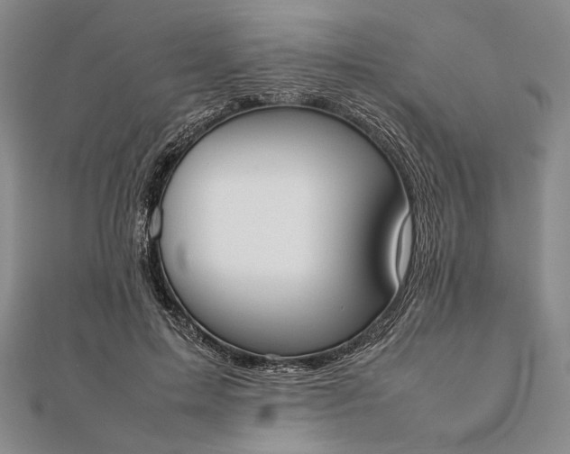 X0000111780599200908061116