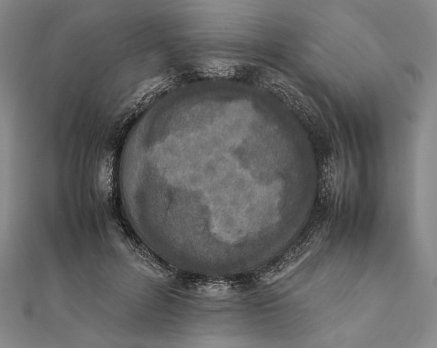X0000111780600200908061116