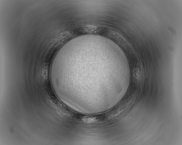 X0000111780602200908061116