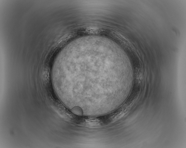 X0000111780603200908061116
