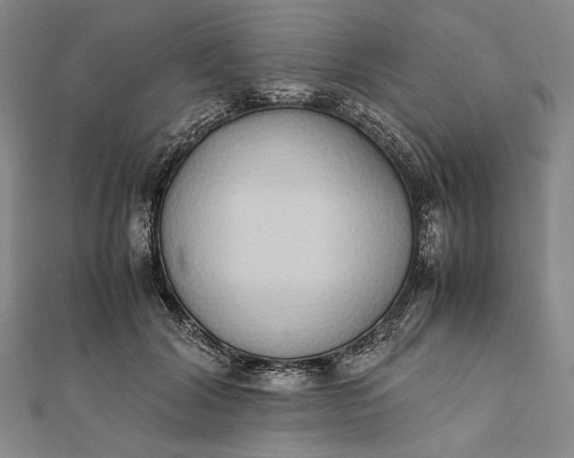 X0000111780604200908061116