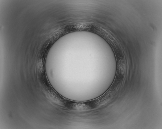 X0000111780605200908061116