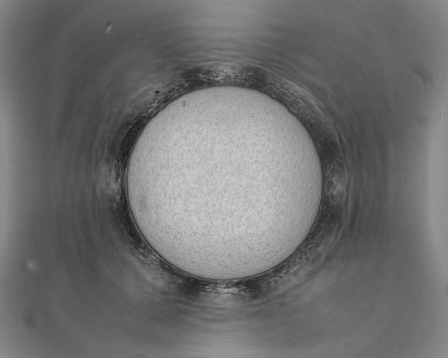 X0000111780607200908061116