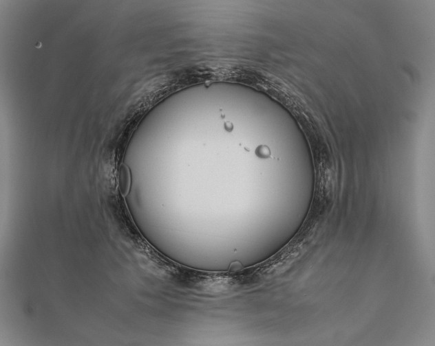 X0000111780609200908061116