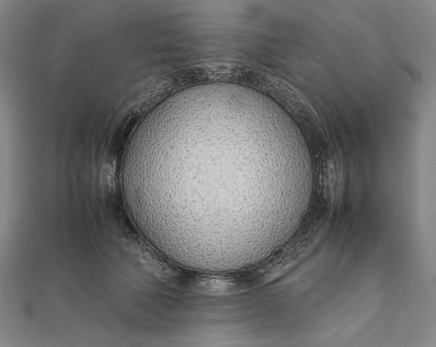 X0000111780610200908061116
