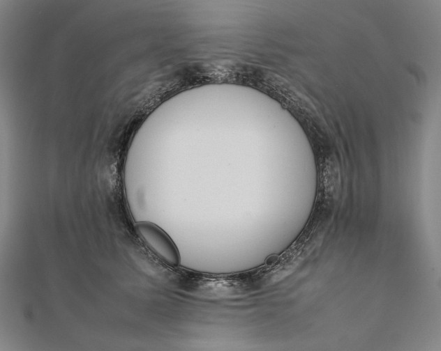 X0000111780611200908061116