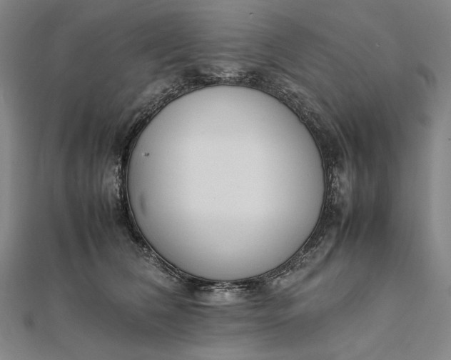 X0000111780612200908061116