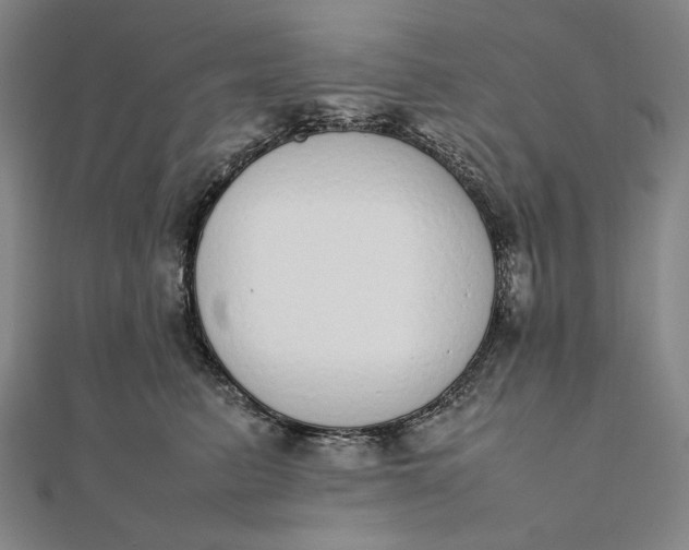 X0000111780615200908061116