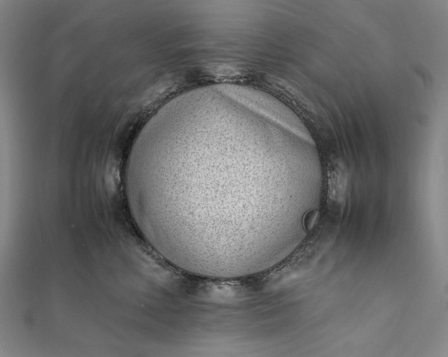 X0000111780618200908061116
