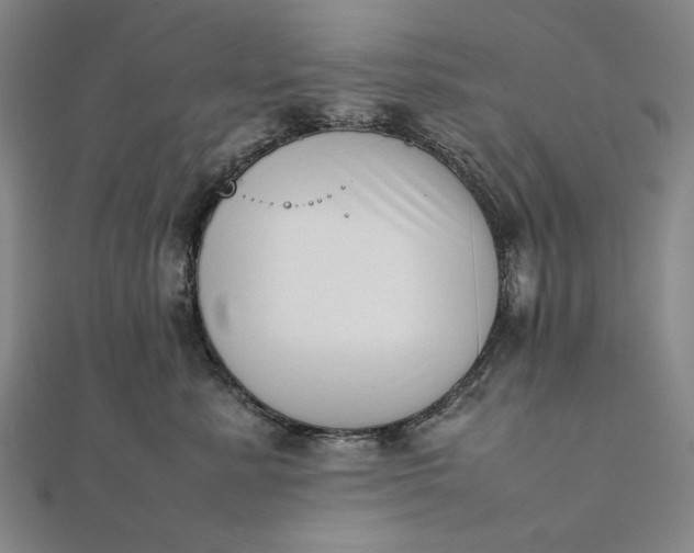X0000111780619200908061116