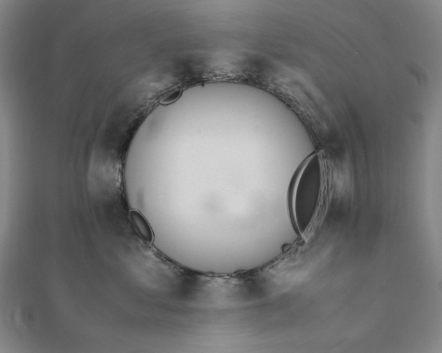 X0000111780621200908061116