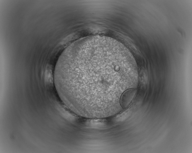 X0000111780622200908061116