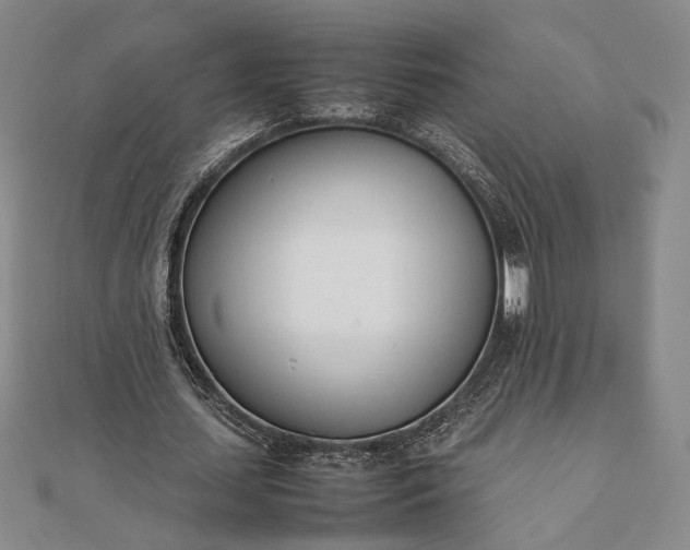 X0000111780627200908061115