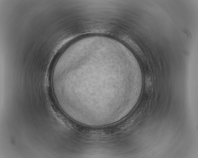 X0000111780628200908061115