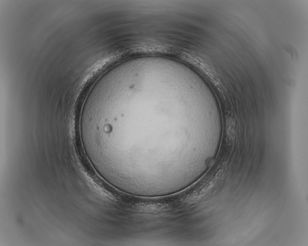 X0000111780629200908061115