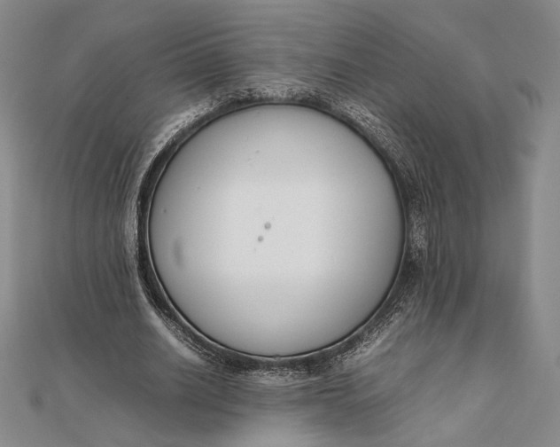 X0000111780630200908061115