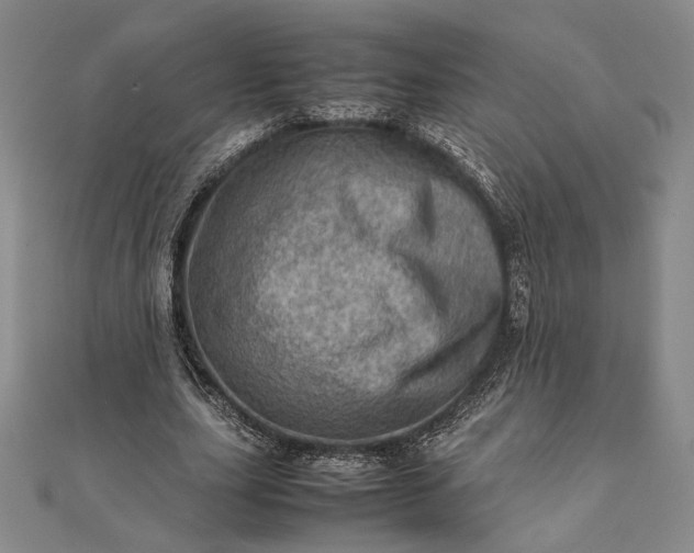 X0000111780631200908061115