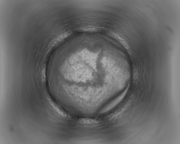 X0000111780633200908061115