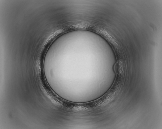 X0000111780634200908061115