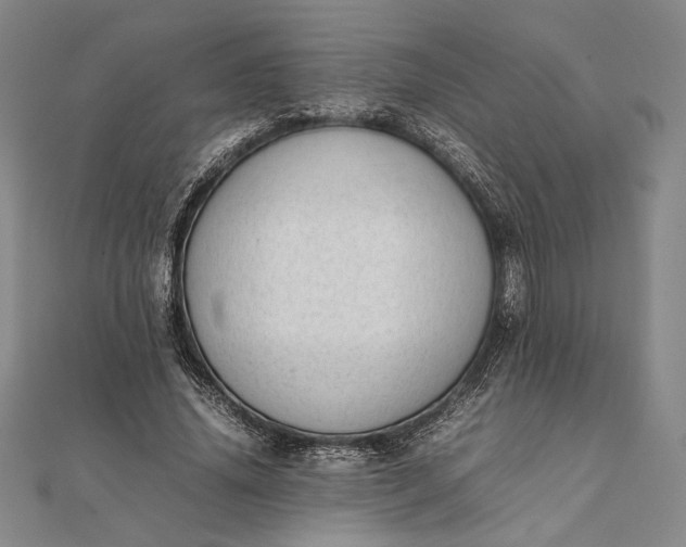 X0000111780636200908061115