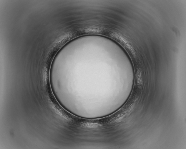 X0000111780637200908061115