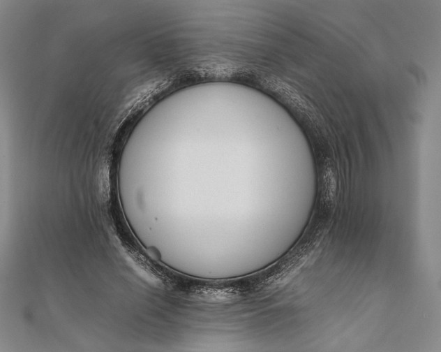X0000111780638200908061115