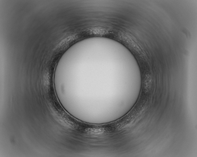 X0000111780639200908061115