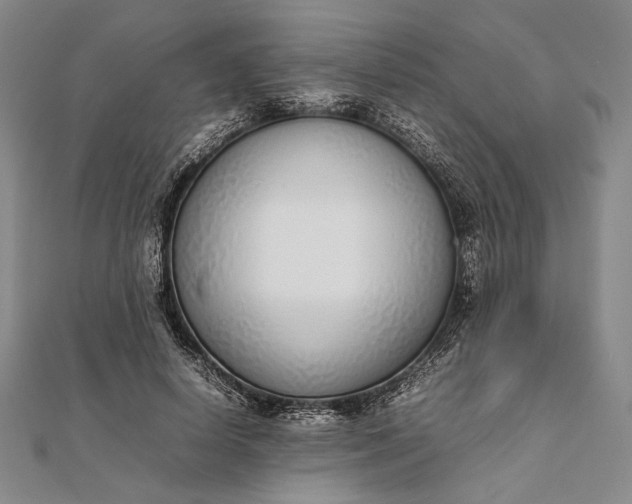 X0000111780642200908061116
