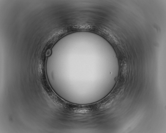 X0000111780643200908061116