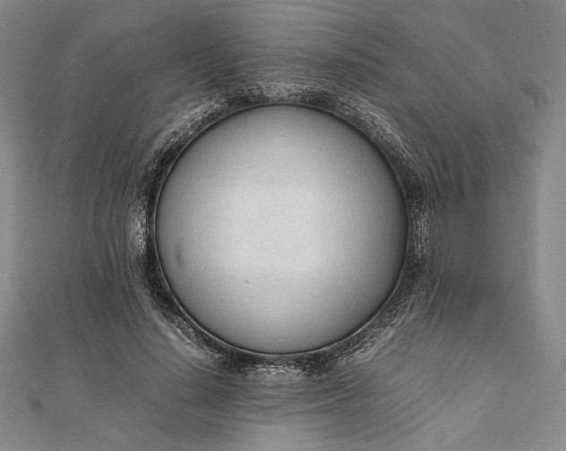 X0000111780644200908061116
