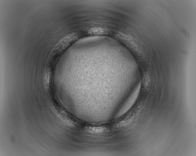 X0000111780645200908061116